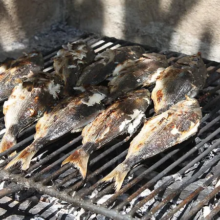 Put Plokita Apartment *