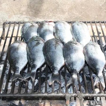 풋 플로키타 아파트 *