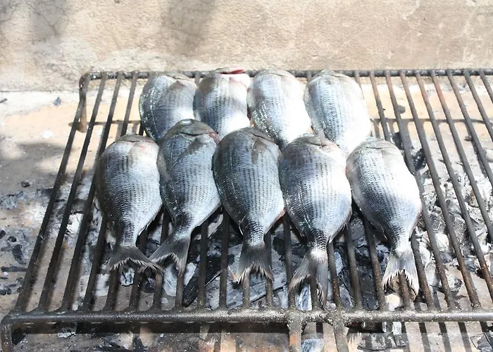 Put Plokita Διαμέρισμα *